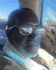 Theophilus is single in South Norfolk, VA USA