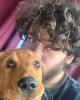 Bryan is single in Farmington, DE USA