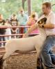 Jackson is single in Berryville, VA USA