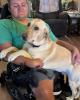 Gabriel is single in Galatia, IL USA