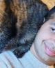 Harsh is single in Allston, MA USA