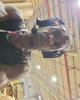 Tthestruggle is single in Erie, MI USA