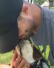 Dakota is single in Rabbit Hash, KY USA