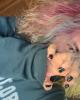 Koda is single in Saint Cloud, MN USA