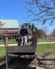 MichaelB is single in Countryside, IL USA