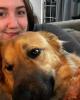 Kristen is single in Bowling Green, KY USA
