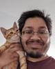 Hamaad is single in Hoffman Estates, IL USA