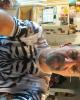 Kenneth is single in Sweet Home, OR USA