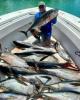 Jose is single in West Palm Beach, FL USA