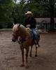 Gabe is single in Lexington, SC USA