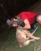 Ethan is single in Conesus, NY USA