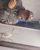 Altorro is single in New Castle, DE USA