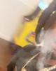 Neg is single in Hiawassee, FL USA