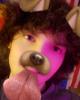 Joel is single in Yarmouth 33, NS CAN