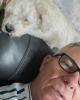 Steven is single in Dover, NH USA