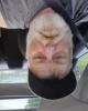 John is single in Findlay, OH USA