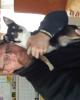 Chris is single in Stover, MO USA