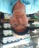 Gary is single in Concordia, MO USA