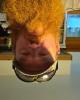 Matt is single in Bluffs, IL USA