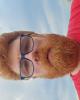 Matthew is single in Ashville, OH USA