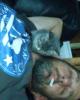 Joe is single in Essex, MO USA