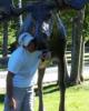 Anthony is single in Shoemakersville, PA USA