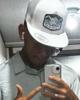 Jaidis is single in Odessa, TX USA
