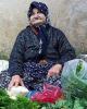 Cy is single in Richmond Hill, ON CAN