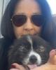 Kay is single in Groveland, FL USA