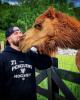 Richard is single in Christiansburg, VA USA