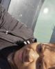 Rodnell is single in Harrisburg, PA USA