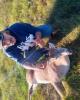 Paul is single in Arcadia, FL USA