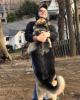 Aidan is single in Jefferson, MA USA