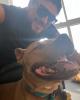 Enrique is single in Belltown, CA USA