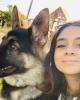 Sarah is single in Camarillo, CA USA