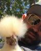 Buddy is single in Conyers, GA USA