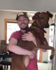 Brennan is single in Findlay, OH USA