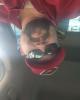 Miles is single in Cherry Valley, AR USA