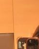 Paula is single in Ormond Beach, FL USA
