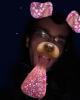 Janiyah is single in Manchester, NH USA