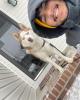 Ivan is single in Selma, NC USA
