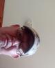 Rob is single in Bluffton, IN USA