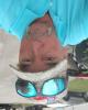 Michael is single in Victoria, TX USA