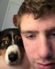 Harlan is single in North Stonington, CT USA