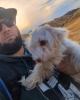 Kyle is single in Antioch, CA USA