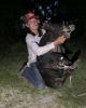 Fernando is single in Lithia, FL USA