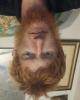 Leon is single in Buckingham, VA USA