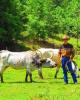 Kenny is single in Blackwater, VA USA