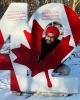 Suhail-Singh is single in Binbrook, ON CAN