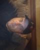Nick is single in Kalamazoo, MI USA